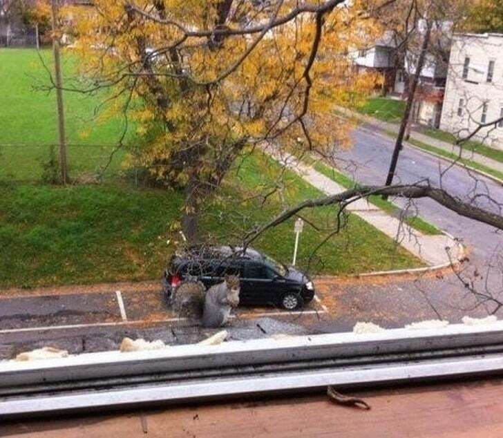 Оптические иллюзии, ТОП-5 сбивающих с толку фотографий: подборка неоднозначных фотографии которые заставляют всматриваться