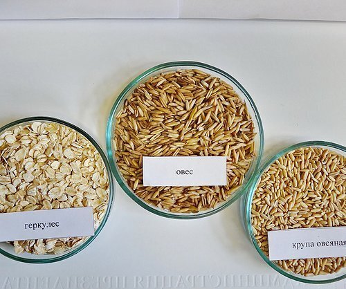 Какая каша полезнее овсяная или геркулесовая каша