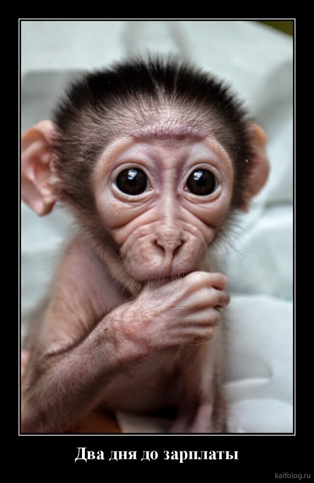 Весёлые картинки (часть 43)