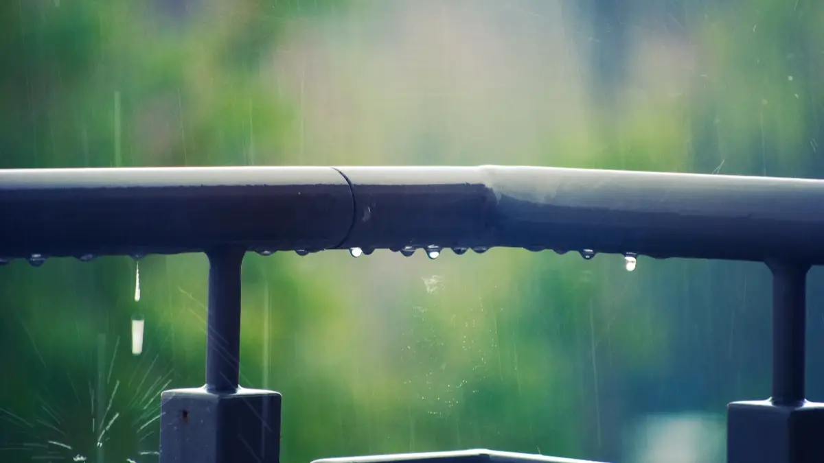 Прогноз погоды для Москвы и Сибири на июль 2022 года: кому готовить зонтики, а кому усиленно спасать урожай от засухи?