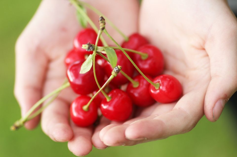 Советы по здоровью из царства сказок