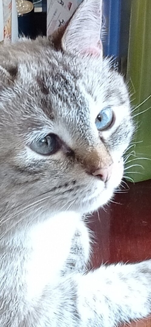 Ксюша - красотка!