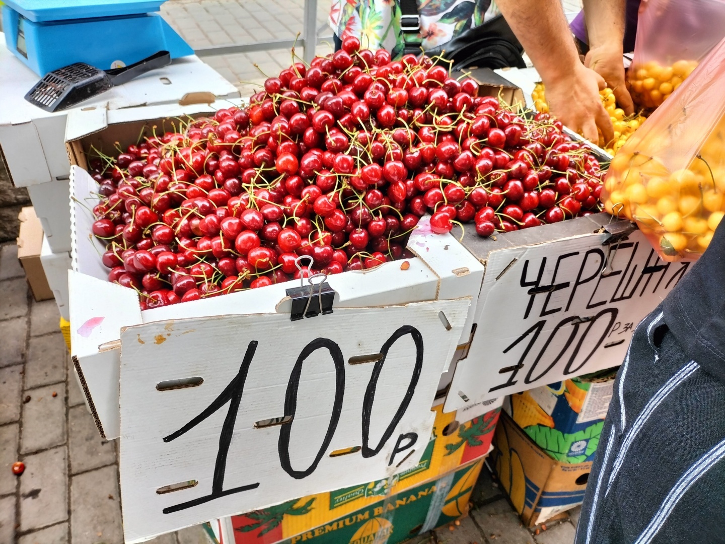 Мы в шоке от цен в Крыму. На фрукты и отдых. Фото ценников