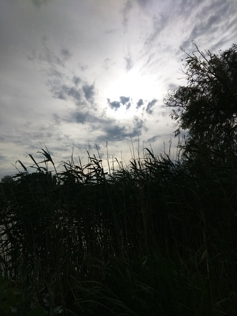 Случай в общежитии. Мистика