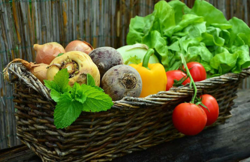 При каких обстоятельствах садоводам придется заплатить налоги с продажи своего урожая? Что нужно знать, чтобы не платить?