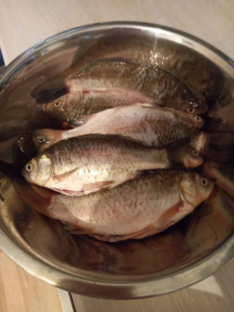 Речная рыбка - "мелочевка"