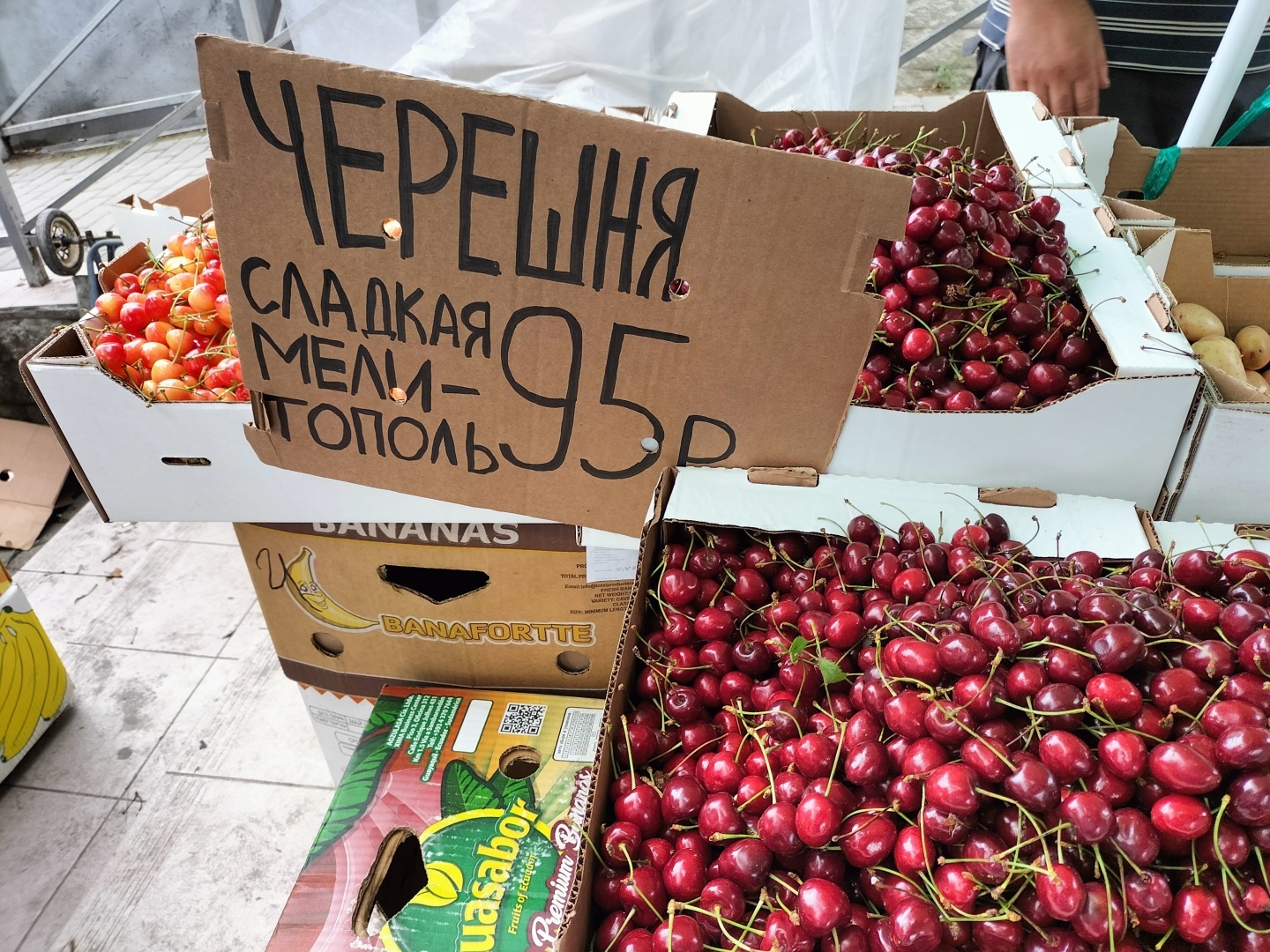 Мы в шоке от цен в Крыму. На фрукты и отдых. Фото ценников