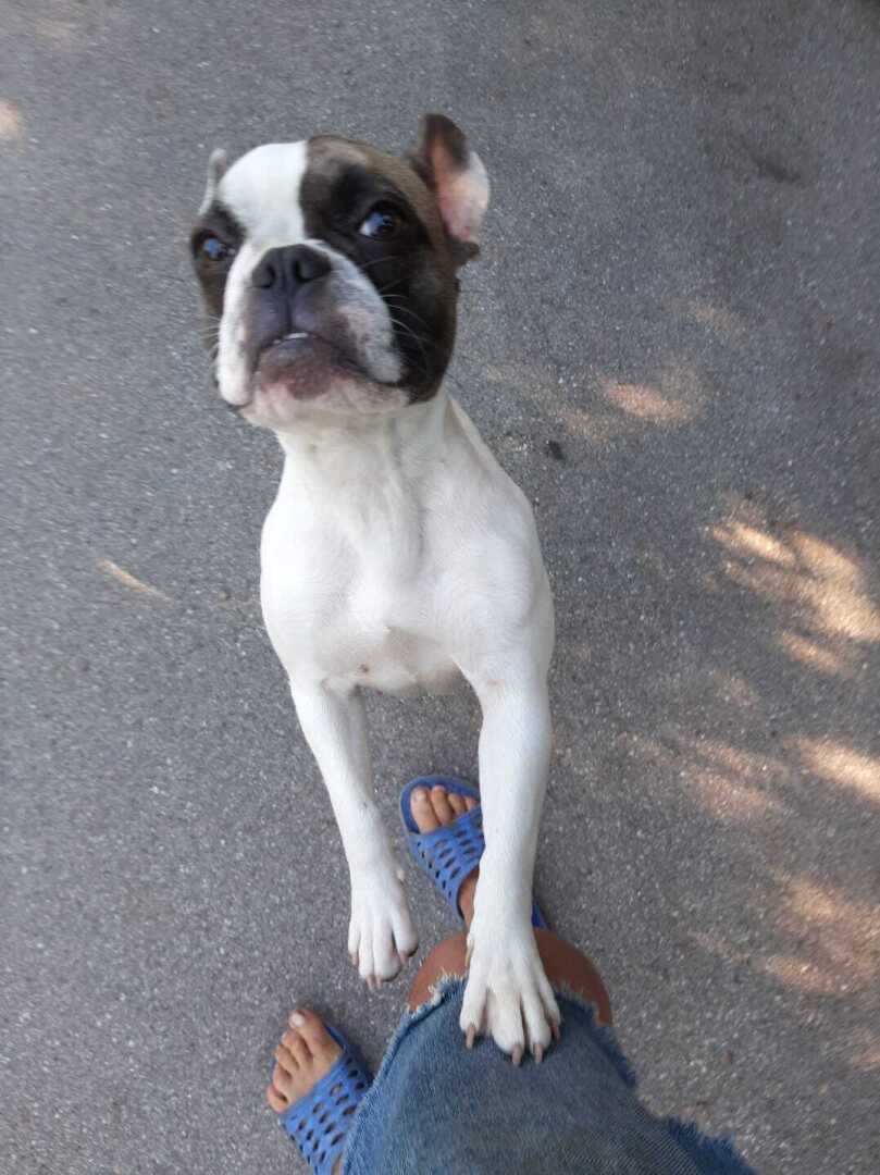 Речная рыбка - "мелочевка"