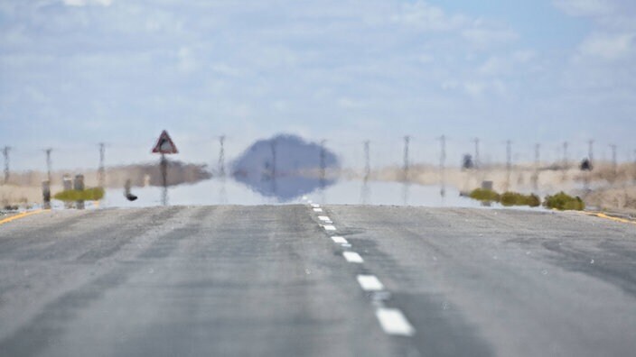 Обман чувств : Иллюзии в природе