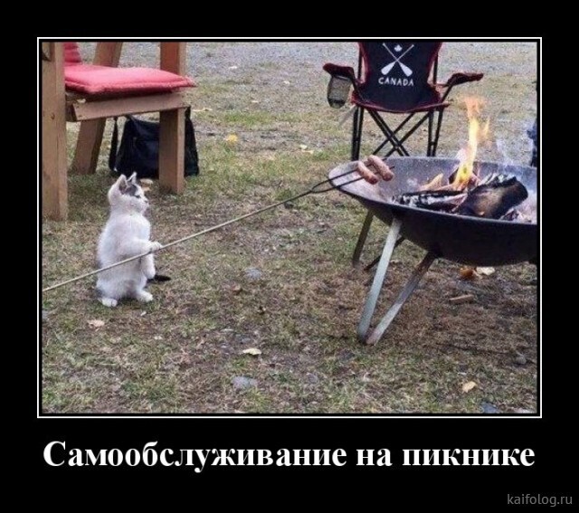 Весёлые картинки (часть 44)