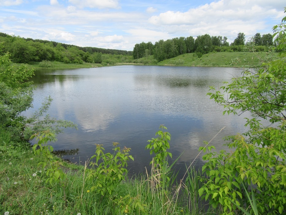 Рудничные озёра - выезд на пленэр кемеровских художников.
