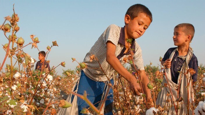 Официально рабство во всем мире отменено. Но они существуют и по сей день: как детский труд, принудительная проституция, крепостное ...