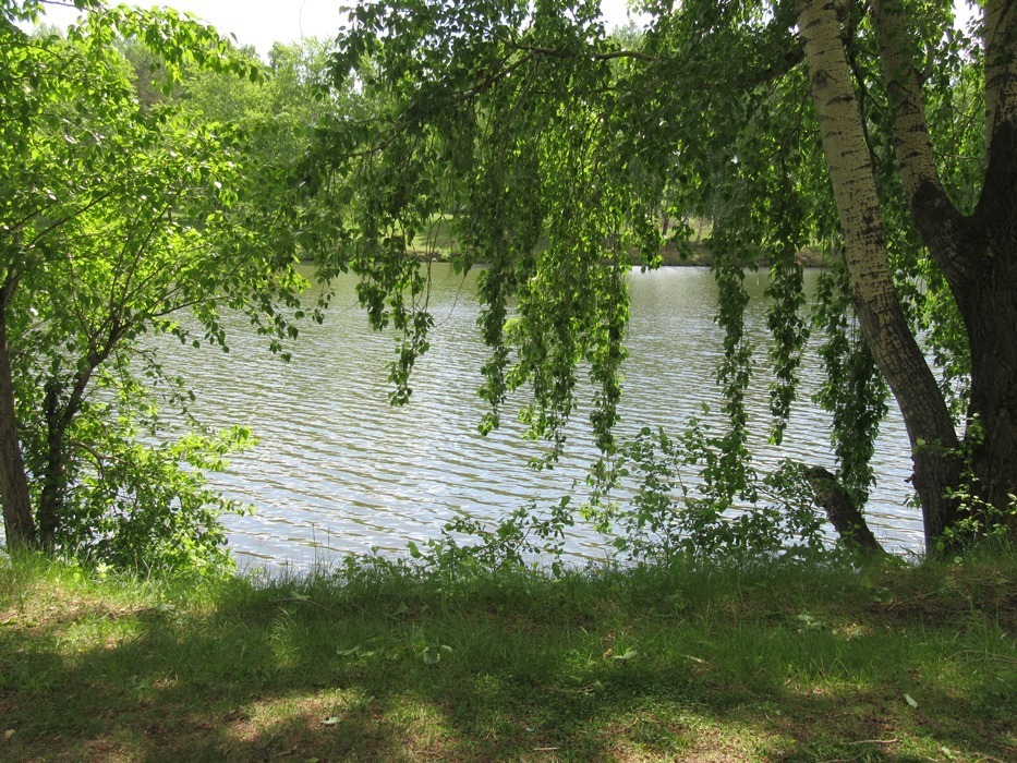 Рудничные озёра - выезд на пленэр кемеровских художников.