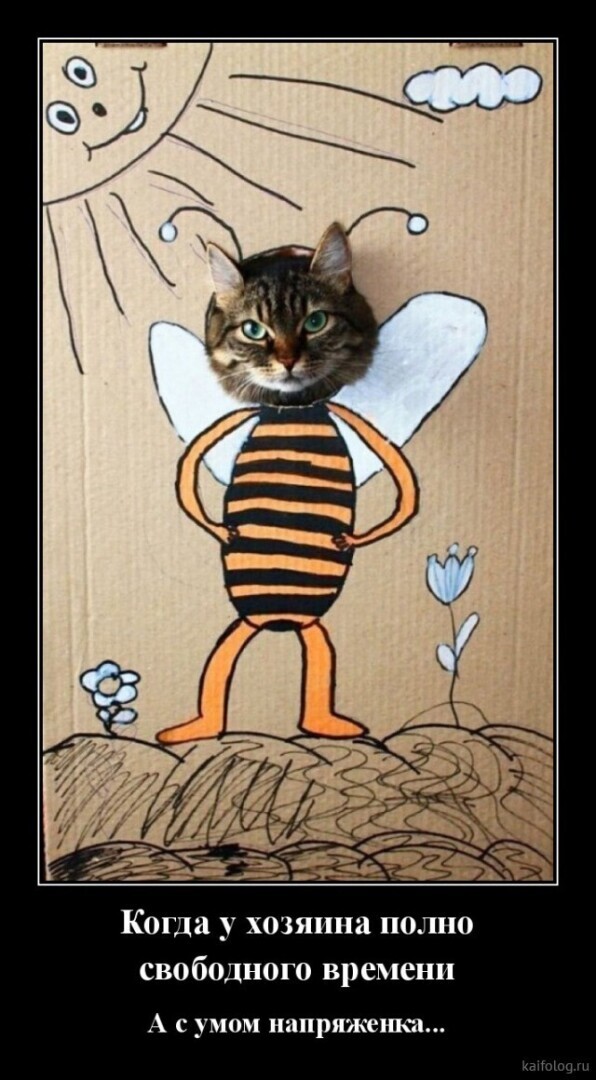 Весёлые картинки (часть 44)