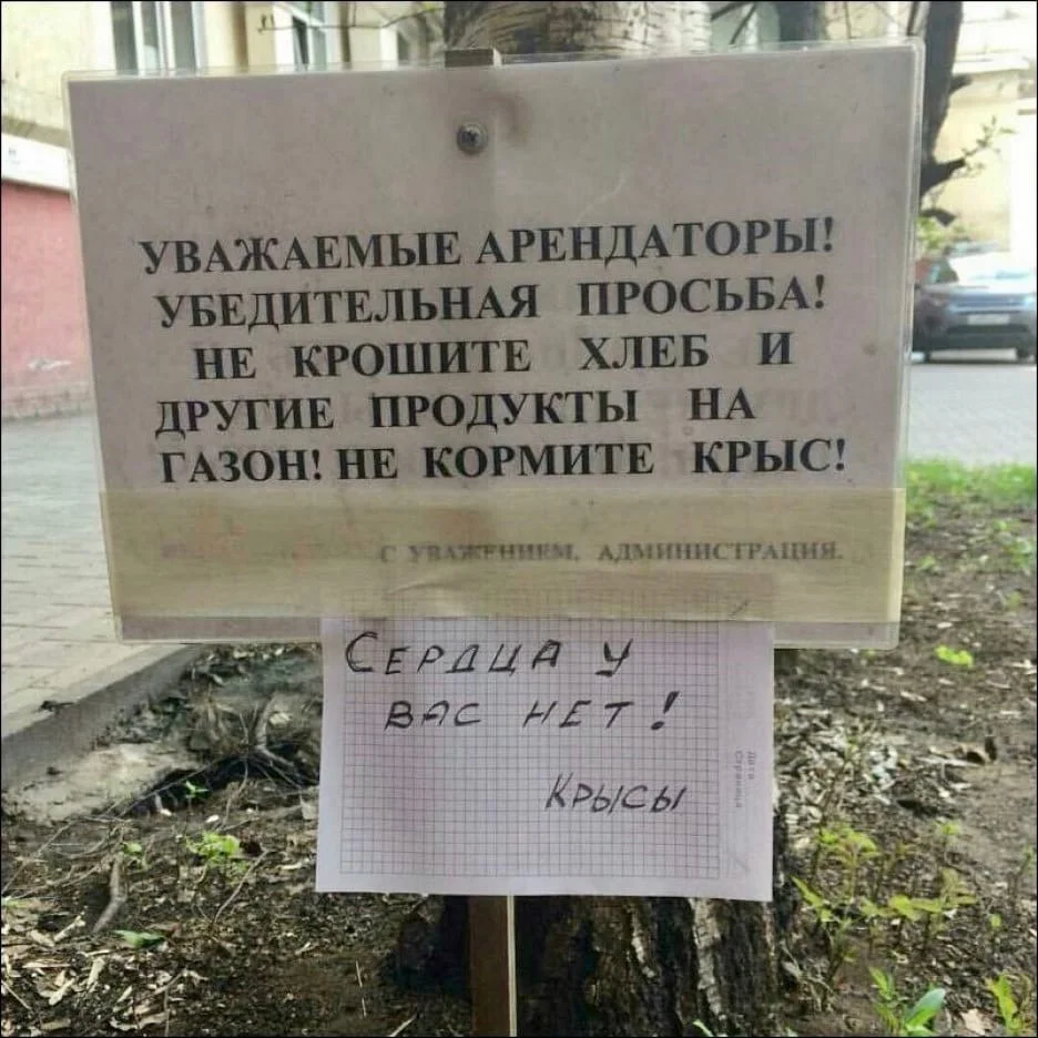 Весёлые картинки (часть 44)