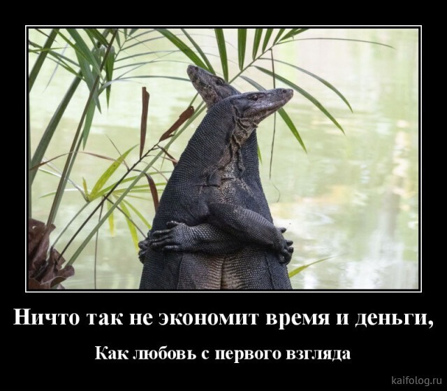 Весёлые картинки (часть 44)