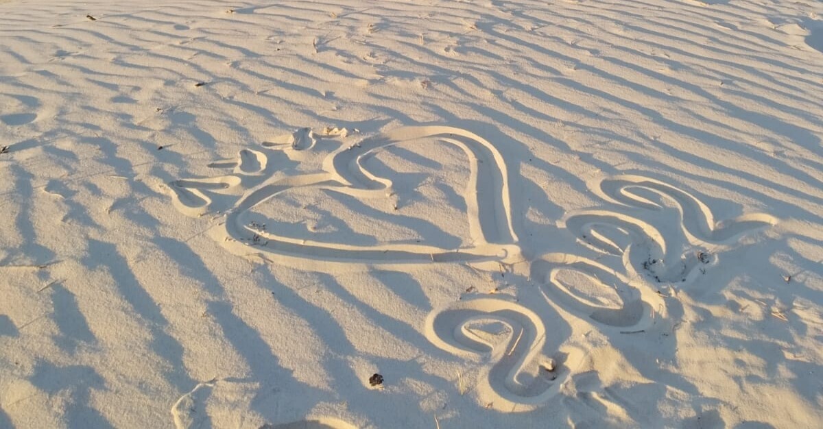 «Мальдивы» в центре России, или Как за неделю полностью отдохнуть от цивилизации. Рассказ о нашем сплаве по чудесной реке Лух