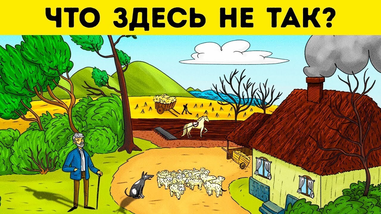 Что здесь не так картинки