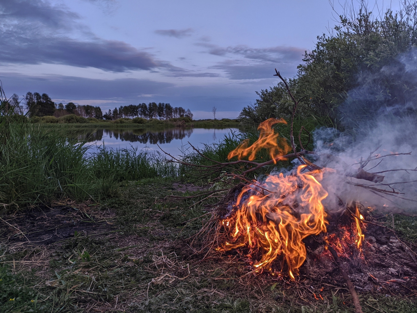 Лето и советы для отдыха на природе
