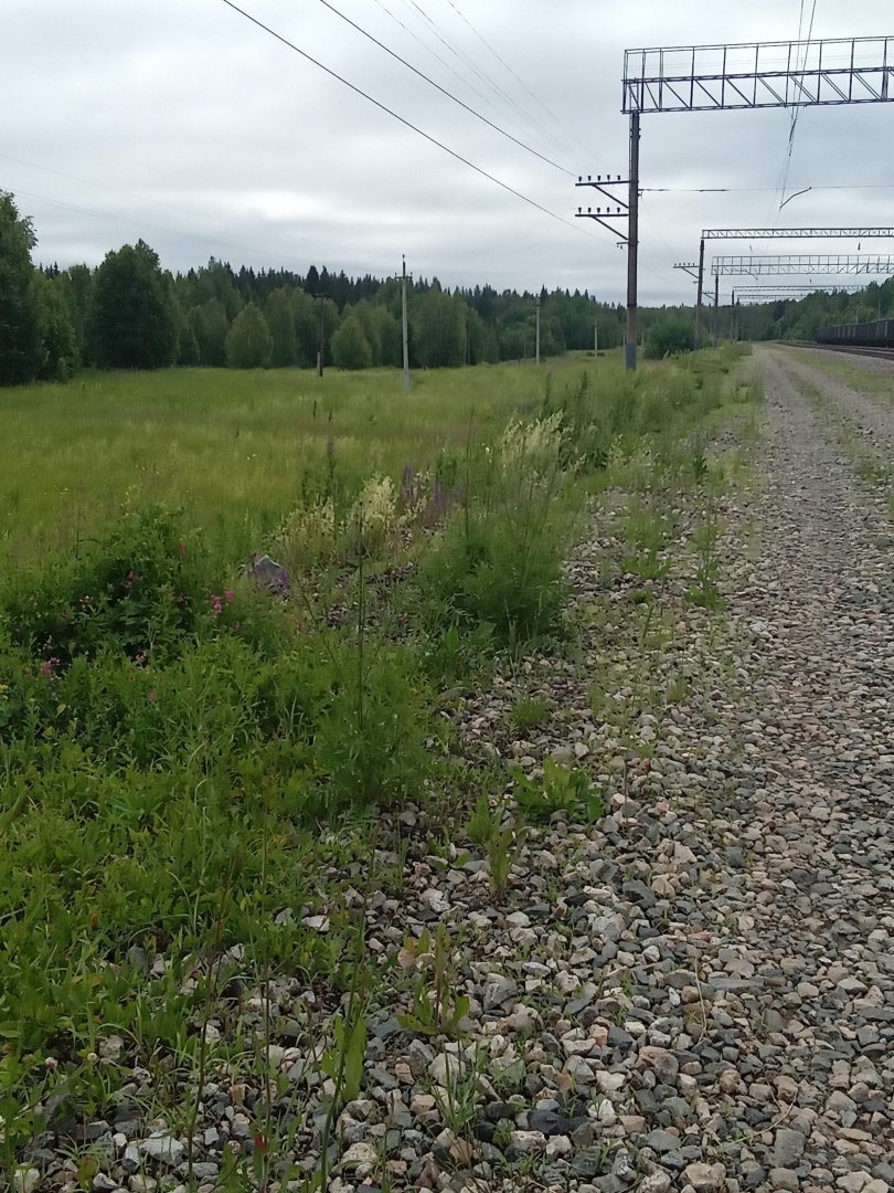 Есл под 48 с юга на Восток я лежал на верхней полки головой в потолок