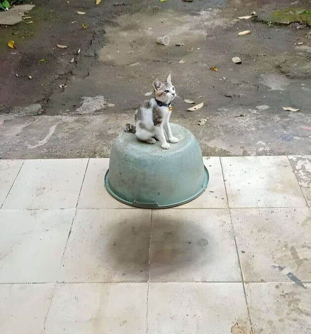 Новый сборник оптических иллюзий-1