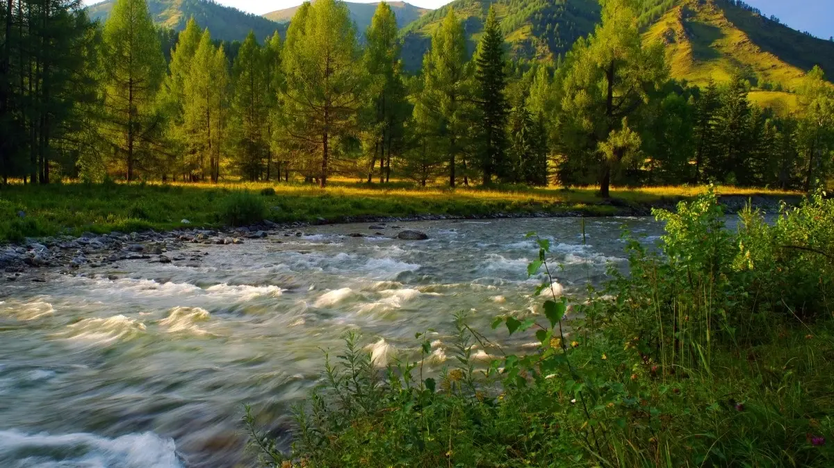 Погода в регионах Сибири в июле 2022: что ожидать жителям Западной и Восточной Сибири? Какая будет погода, ожидается холодной или нет