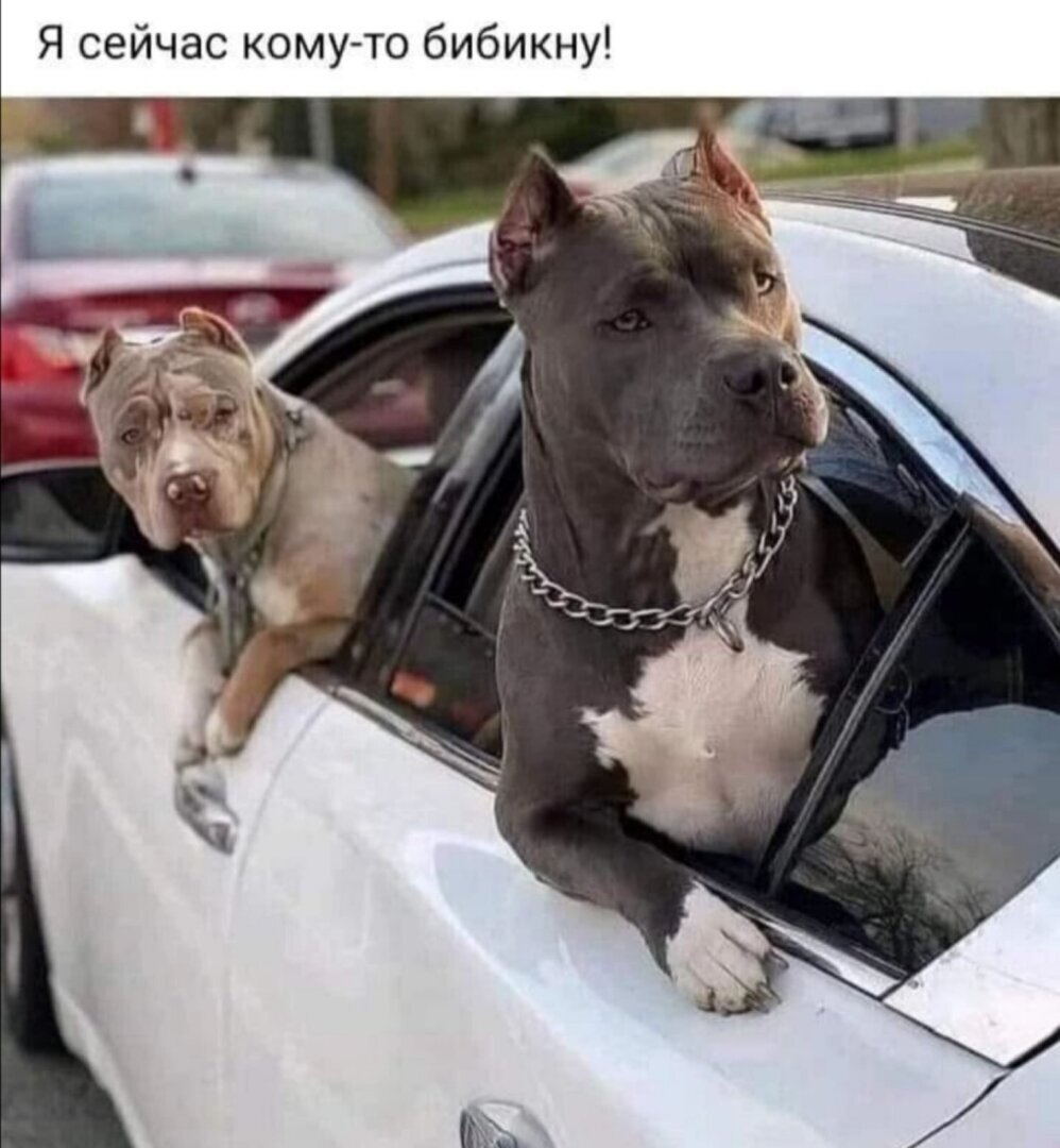 Утренний анекдот