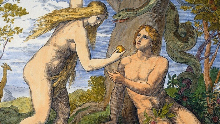 Мистика змей : у змей много лиц