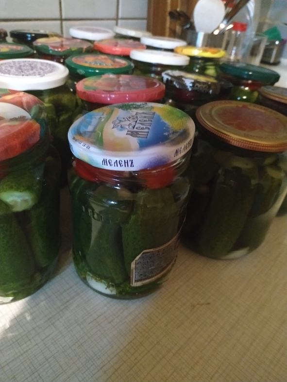 Маринованные огурчики. Мой лучший рецепт, проверенный временем, плюс секретики