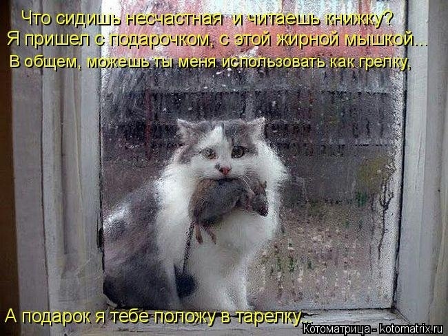 Наши любимые "хвостики"