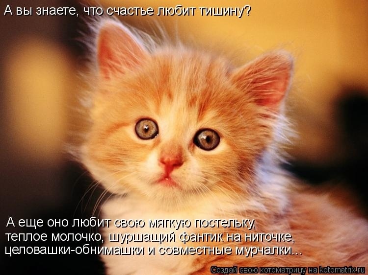 Наши любимые "хвостики"