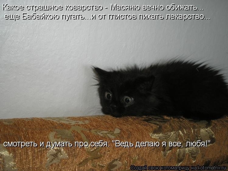 Наши любимые "хвостики"