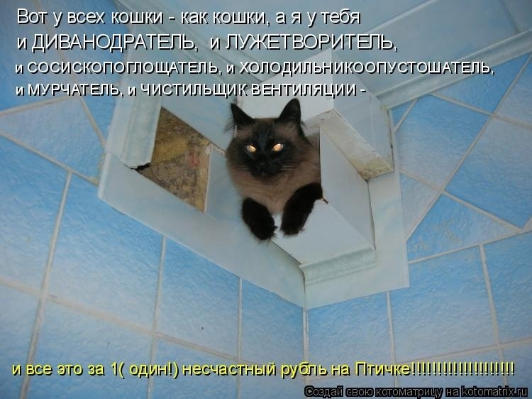 Наши любимые "хвостики"