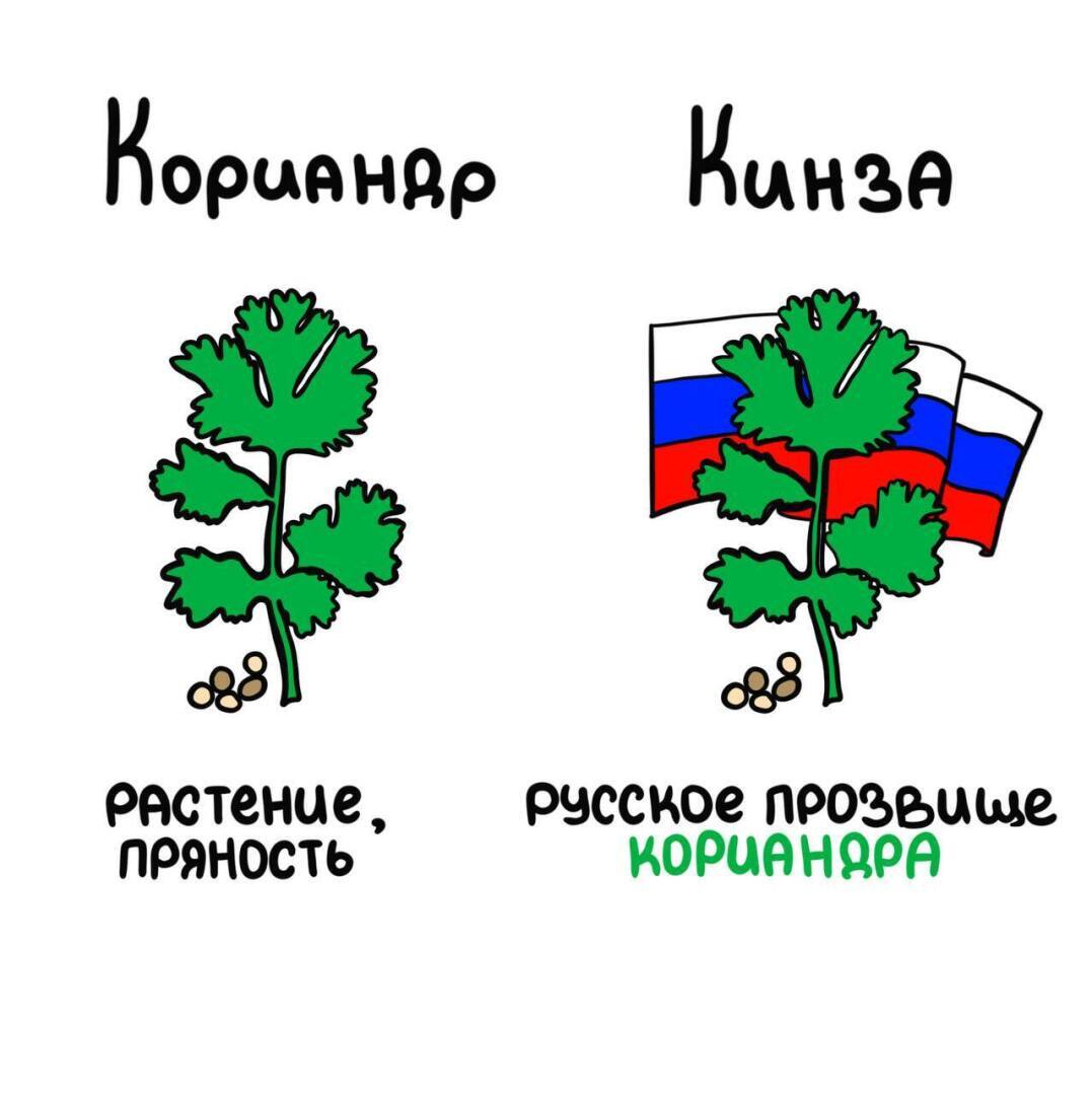 Самые интересные факты доступным языком.