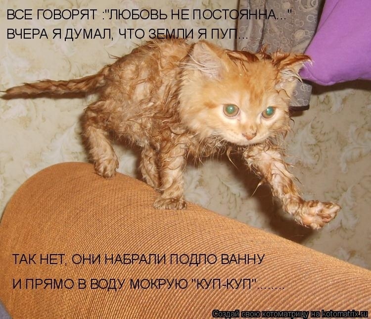 Наши любимые "хвостики"