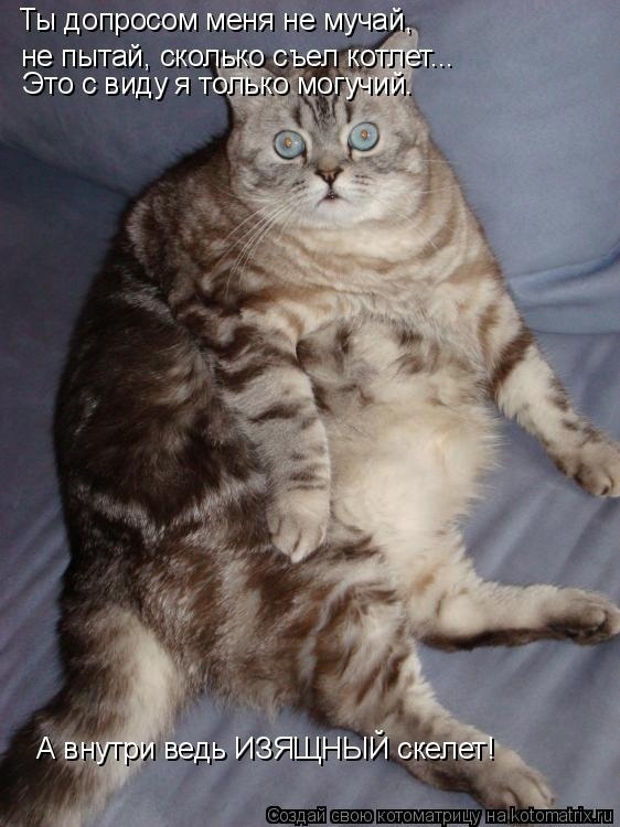 Наши любимые "хвостики"