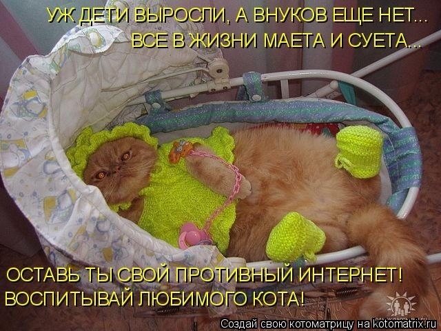 Наши любимые "хвостики"