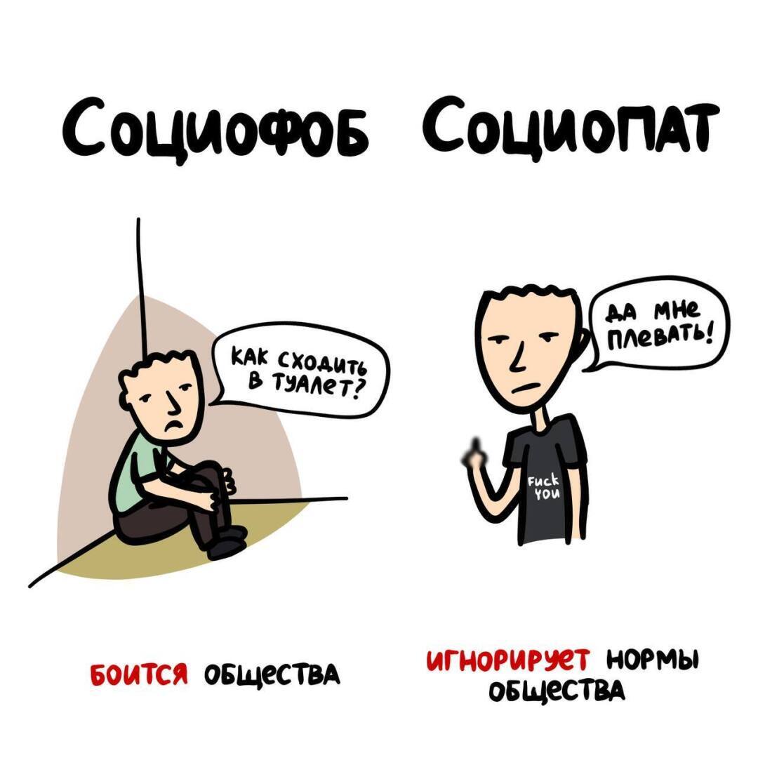 Самые интересные факты доступным языком.