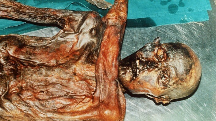 Мумии - это трупы, защищенные от разложения естественными обстоятельствами или искусственными процедурами.