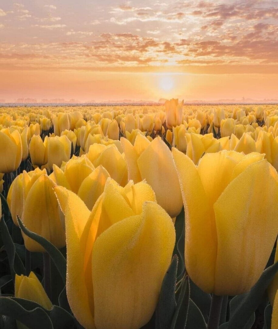 Думаю и записываю мысли