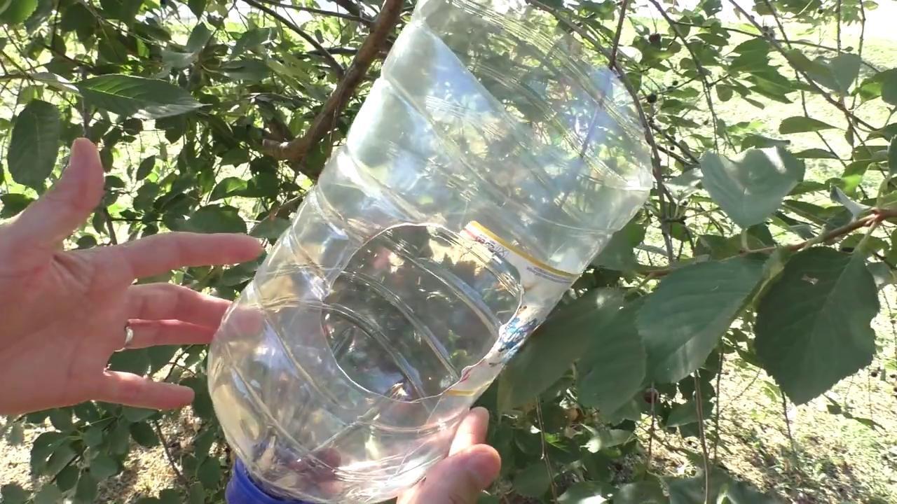 Самодельное приспособление из пластиковой бутылки для быстрого сбора фруктов