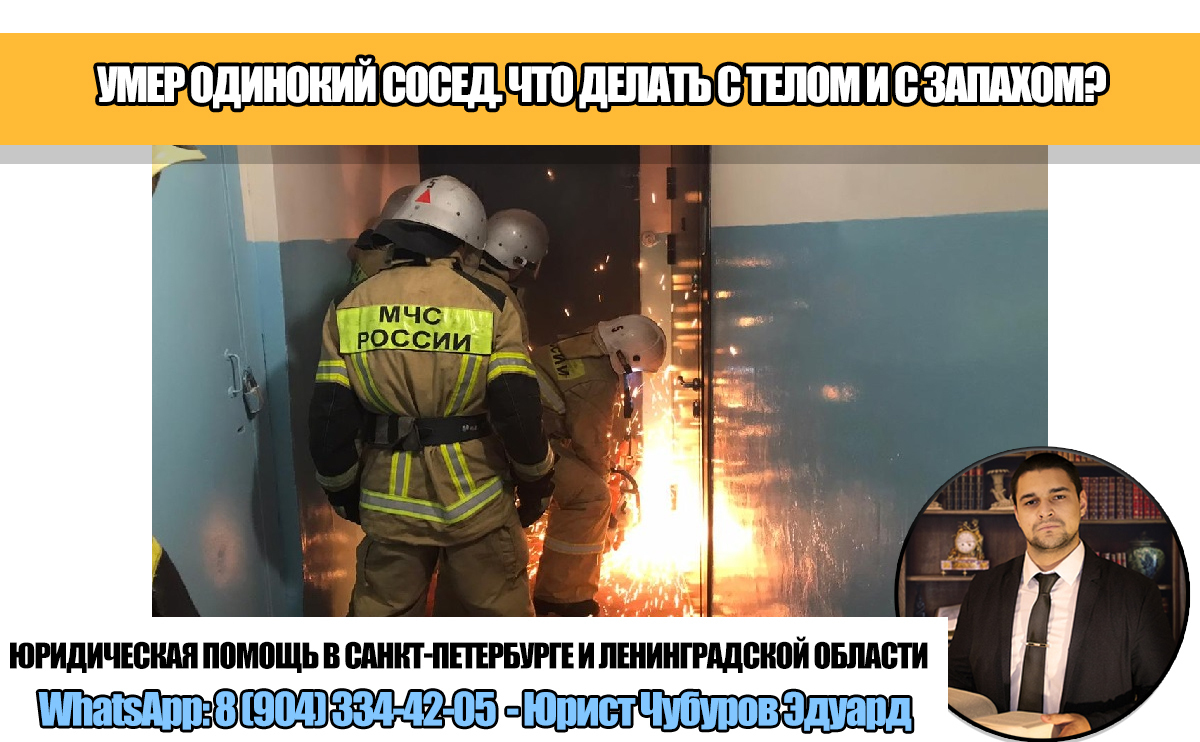 "Умер одинокий сосед без родственников, трупный запах не даёт жить" – рассказываю, как решить этот сложный вопрос