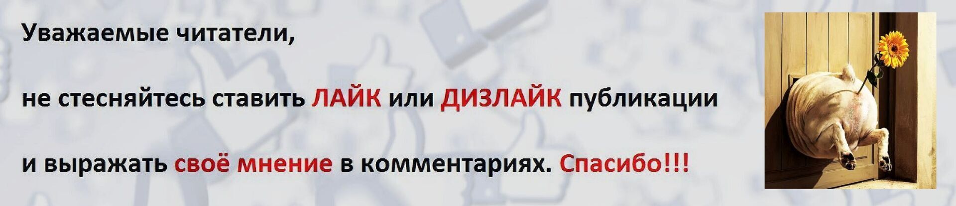 Запад наносит страшный удар: английские нудисты провели голозадый забег в поддержку Украины. Что теперь делать России?