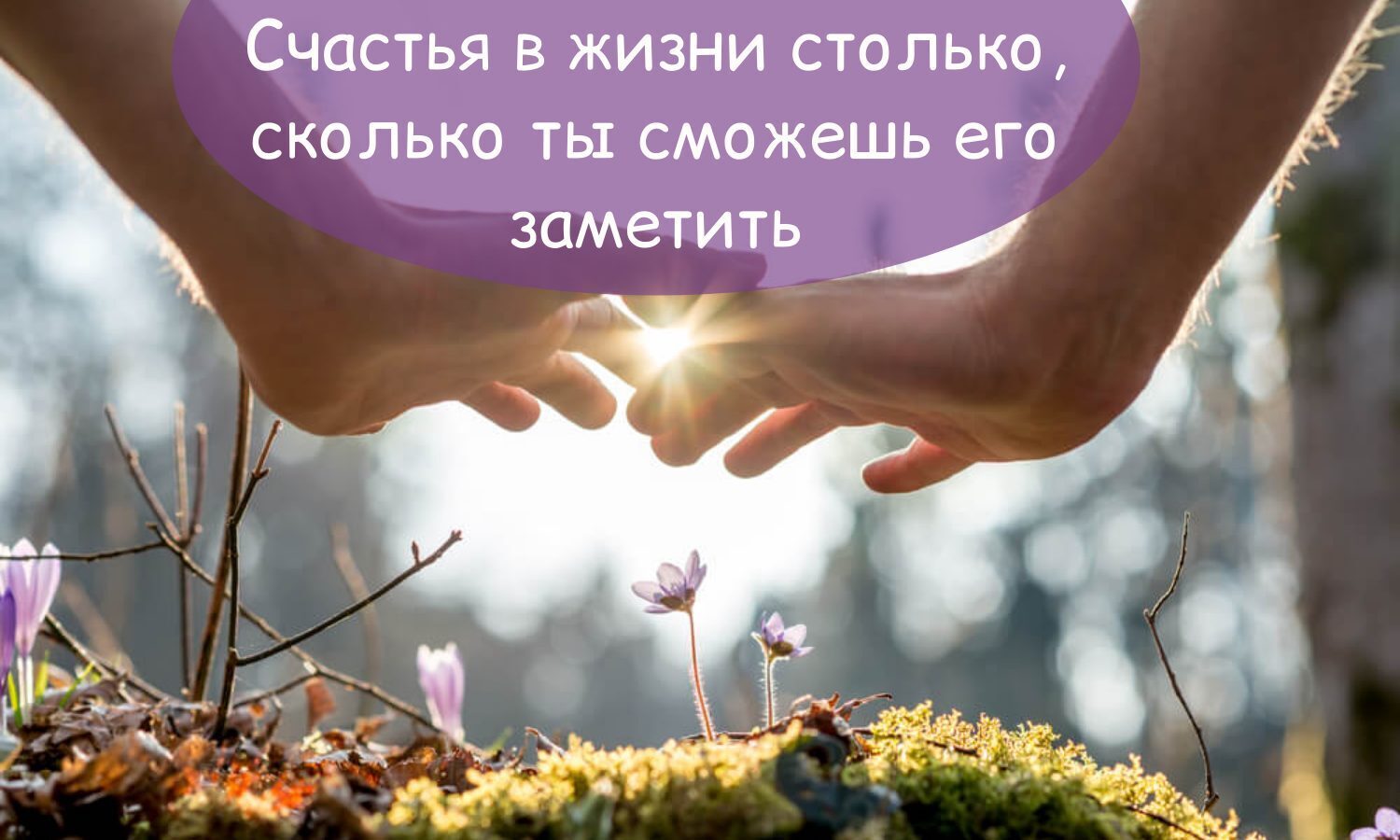 Что мы видим вокруг себя ?