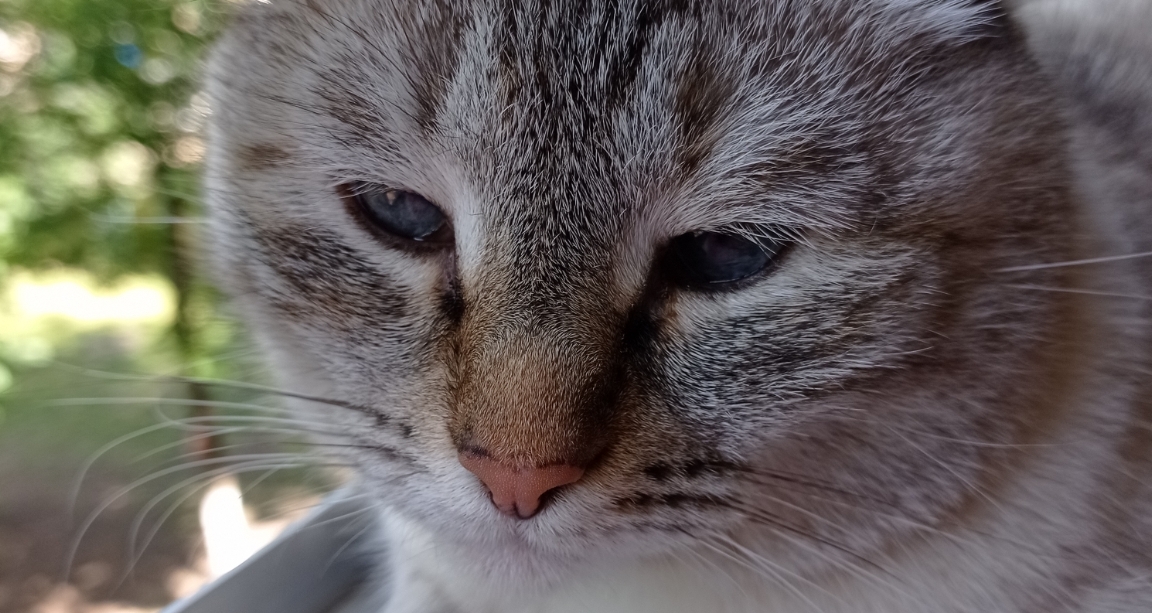 Ксюши не было двое суток