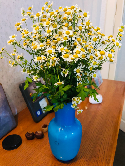 Авторская притча о любви и красоте