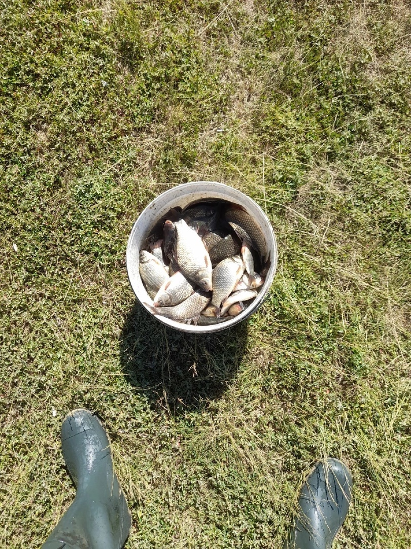 Моя первая рыбалка в этом году. Хоть рыба и невелика,но море эмоций