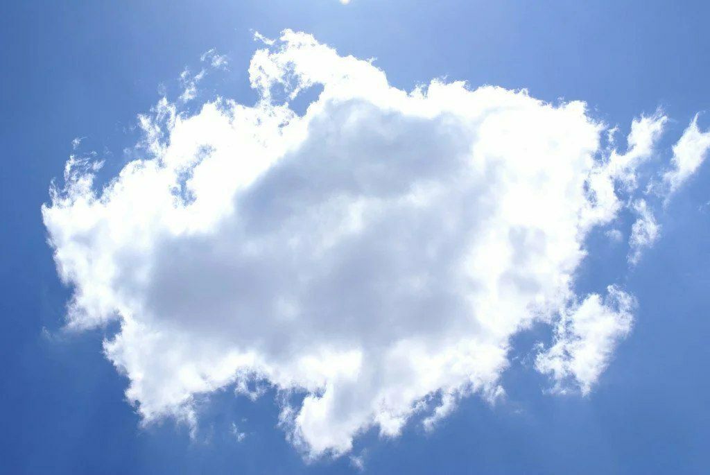 Интересные факты, которые Вам будут интересны ( пятая часть )