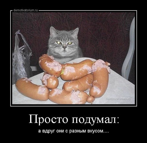 Сложно улыбаться, когда кажется, что весь мир сошел с ума...