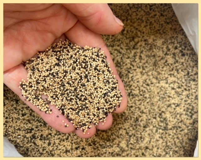 Амарант. Растение-кладезь пользы.Что нужно знать о выпечке из амарантовой муки без глютена